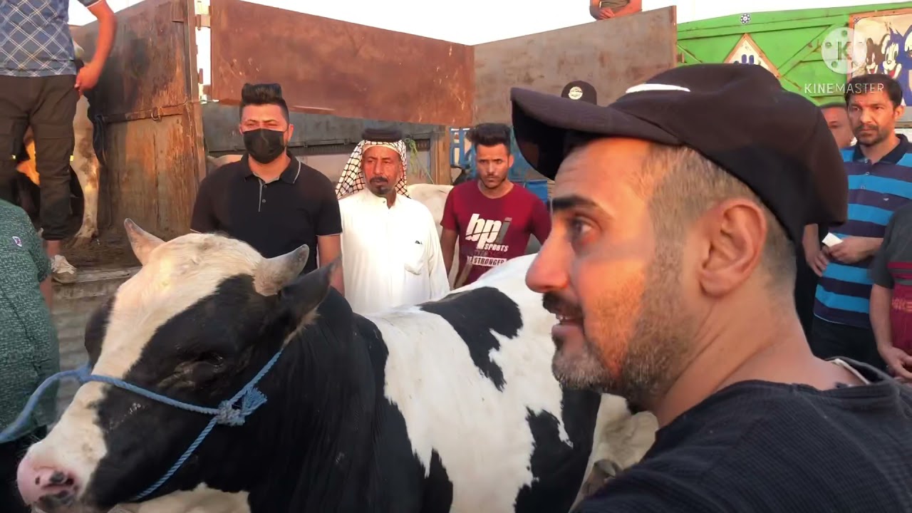 صفات البصره الموحده مزاد حجي ياسين ابو محمد زبون لبيع الحلال كافه /////؛/////اخوكم سجاد الفضلي