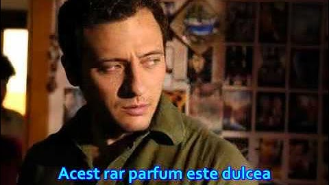 Yigit Ozsener (Ezel) - Sting - Desert rose - traducere romana