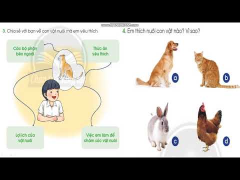 Tuần 22 (03/02/2021) - Khối 1 - Môn TNXH - Bài: Ôn tập chủ đề thực vật và động vật (tiết 2)