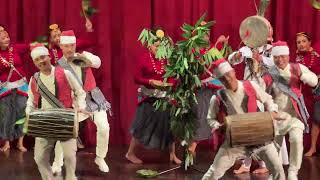 Soi Dhole Soi Sakela Dance Performance By Apf Dance Team Nepal