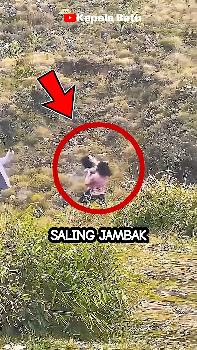 Gara Gara Hal Ini, 2 Remaja Cewek Terlibat Saling Jambak Jambakan Rambut