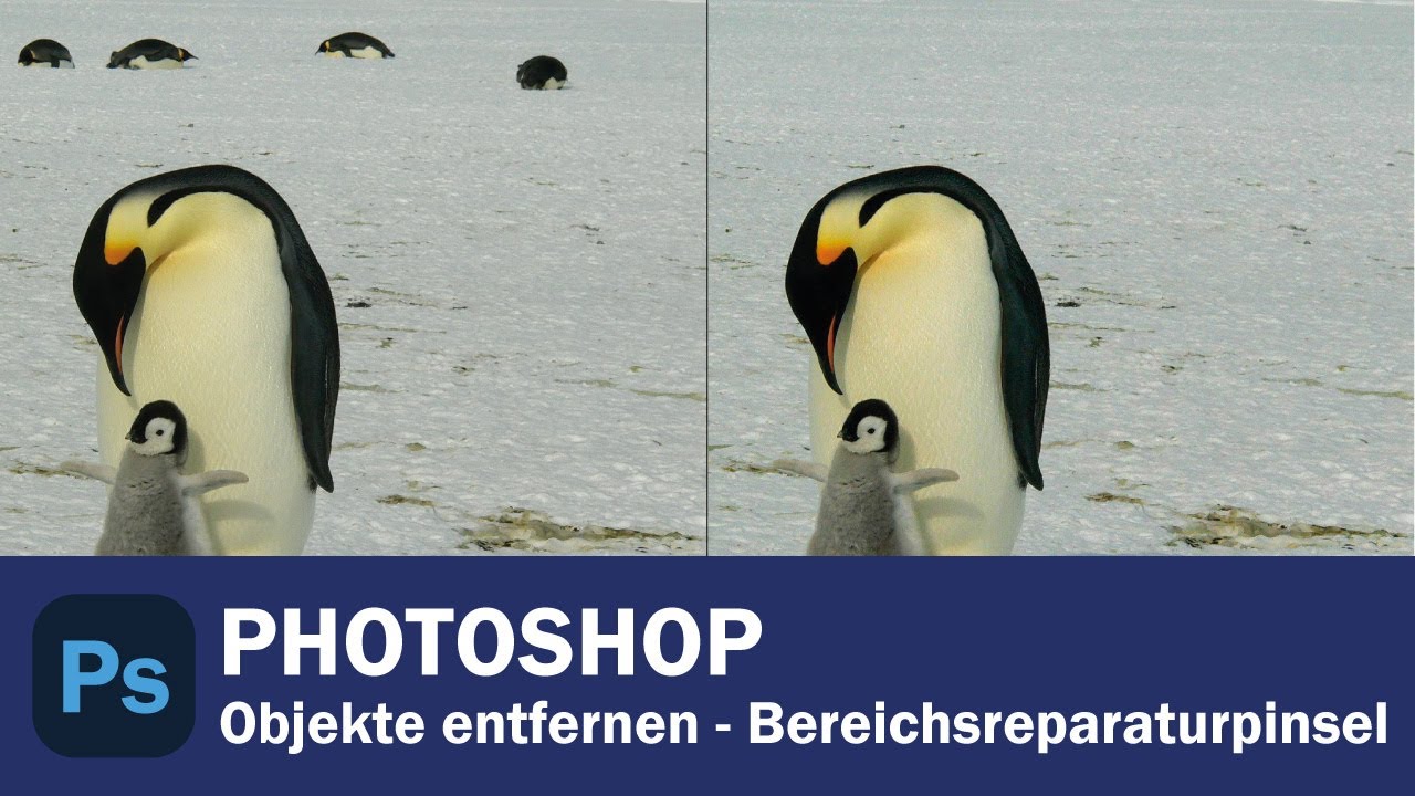 Adobe Objekte entfernen Bereichsreparaturpinsel agentur Tutorial YouTube