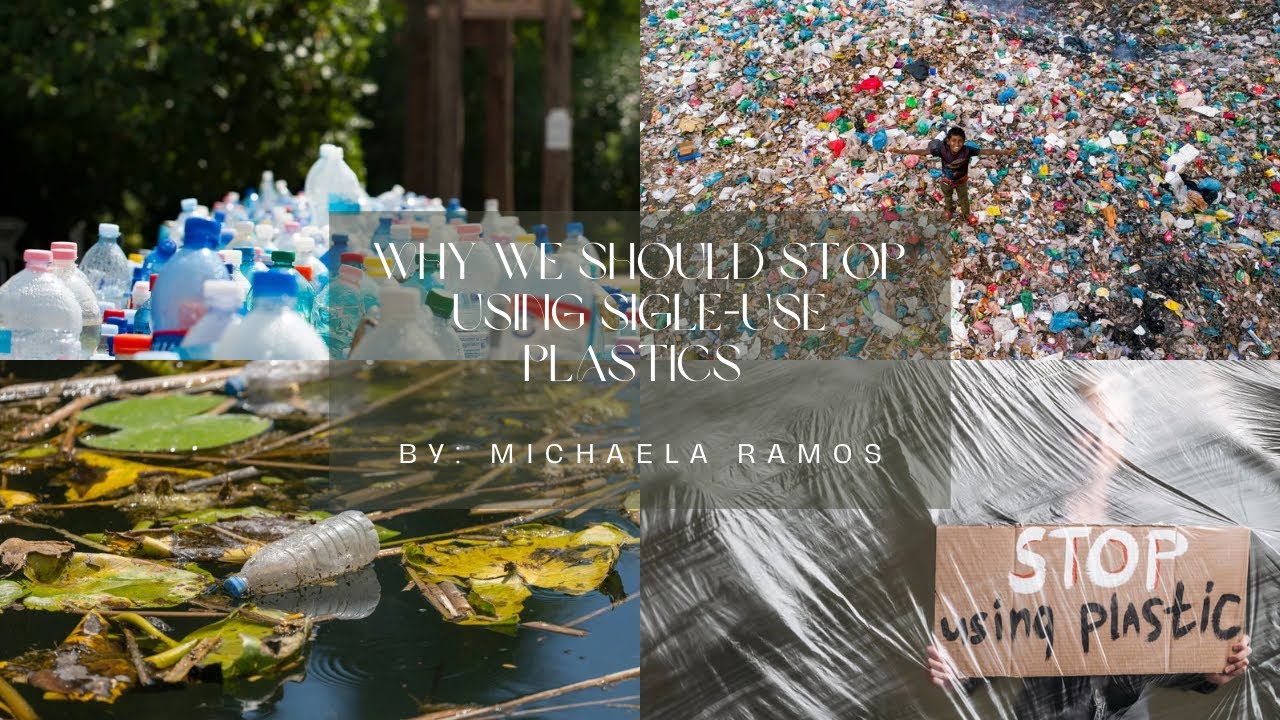 Why we should stop using single-use plastics