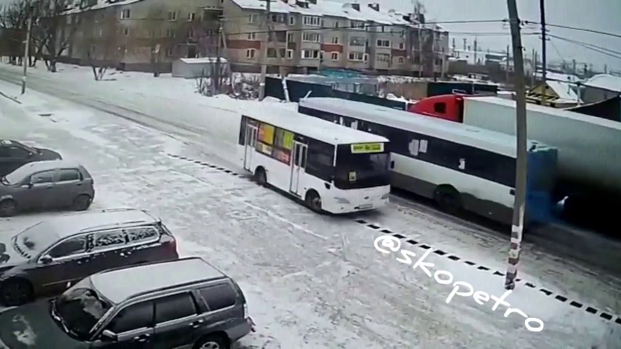 Дтп с участием лошади кто виноват