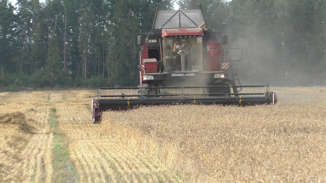 уборка озимой пшеницы. John Deere 9640/ PALESSE GS 10/ GS 12/  GOMSELMASH GS12A1 PRO