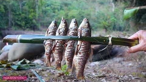 ĂN CHUỐI RỪNG | Sống Trong Hang • Tập 6