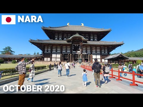 奈良観光 - 東大寺を歩いて大仏を見学2020 鹿もかわいい Walking in Nara, Todaiji Temple and The Great Buddha