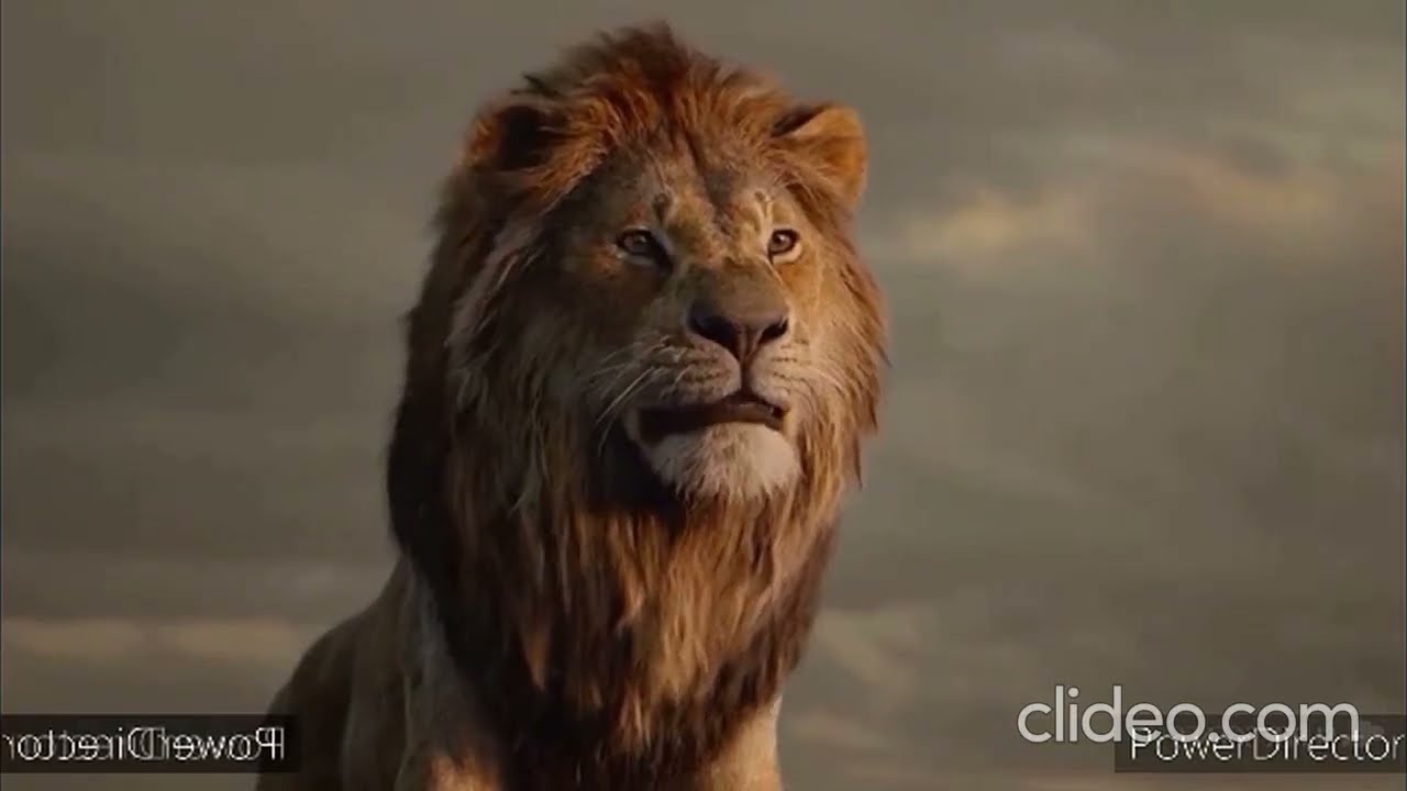 The Lion King and Miraculous Ladybug Story - Clip 1