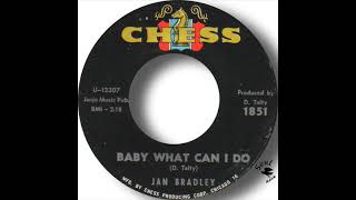 Jan Bradley   Baby What Can I Do