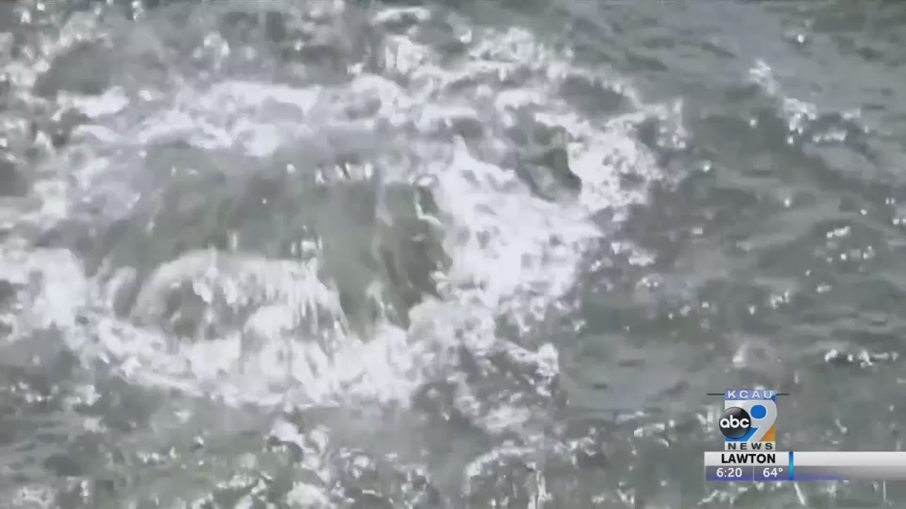 Boy Finds Stolen Safe in Lake, Solves Mystery