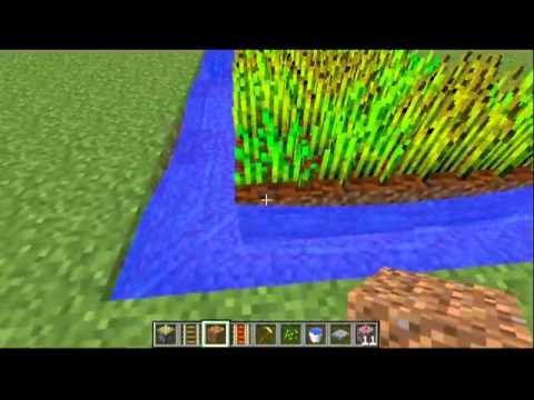 TOP 5 : melhores culturas para plantar na sua base no Minecraft