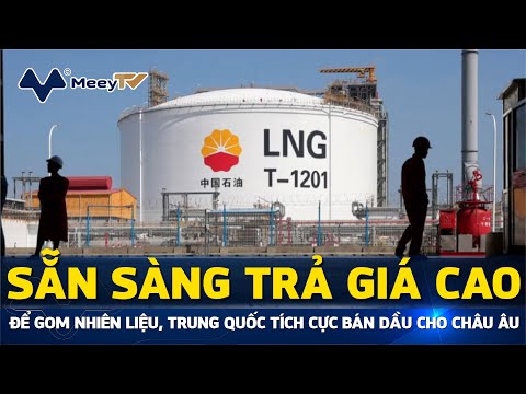 Video SẴN SÀNG TRẢ GIÁ CAO ĐỂ GOM NHIÊN LIỆU, TRUNG QUỐC... - youtube