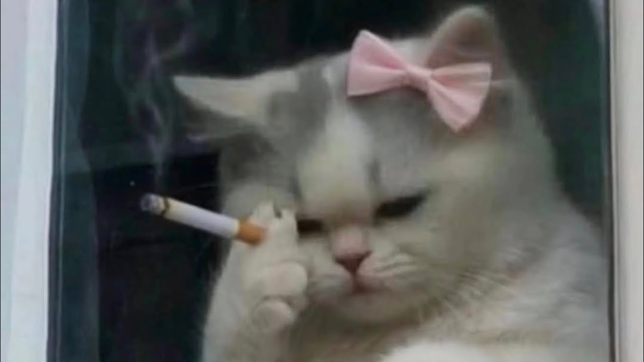 Ребятыыыыы вы тут?