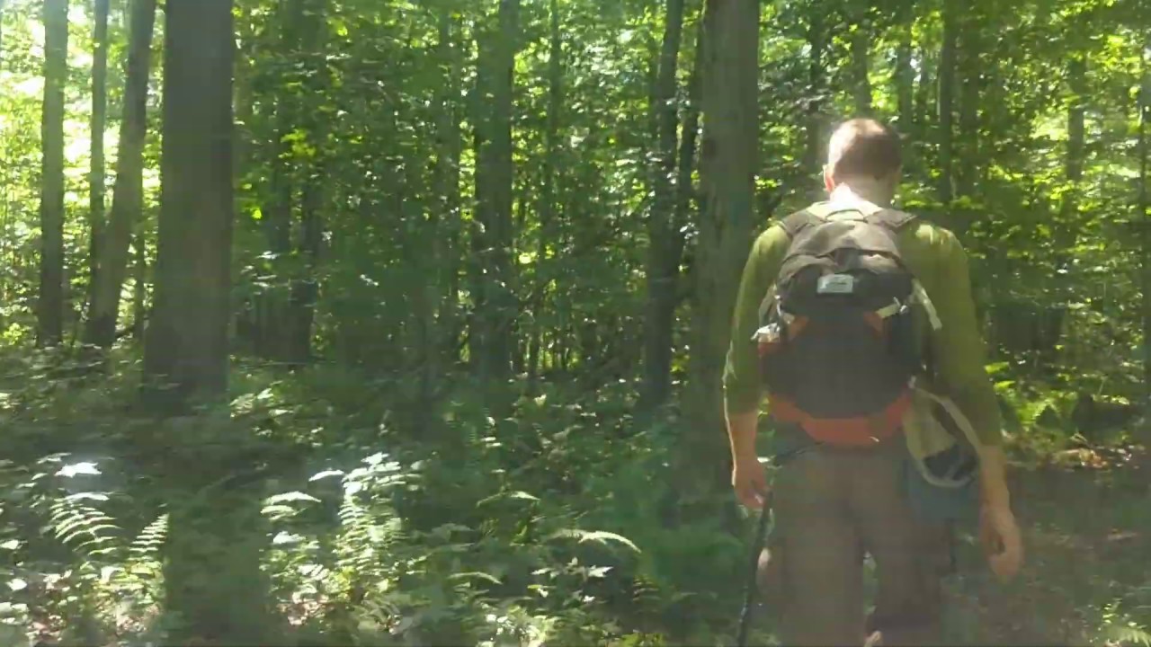 Hiking the Finger Lakes Trail YouTube