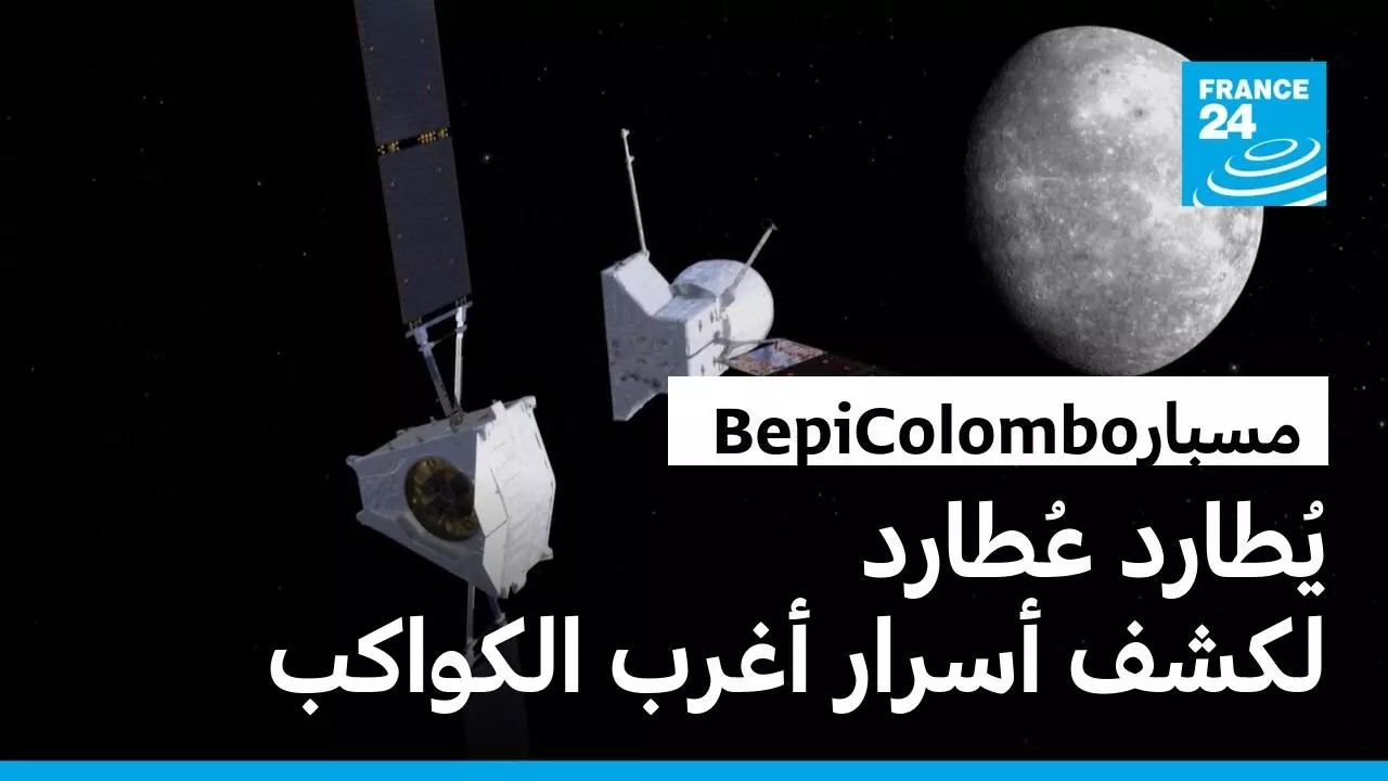 ������ ������.. ������ ����� ����� ������ ��� ���� ���� �� ����� ���� ������
 - نشر قبل 14 دقيقة