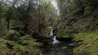 Nile Creek West Trail  Full Hike