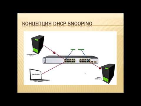 Конфигурация dhcp snooping на оборудовании Cisco