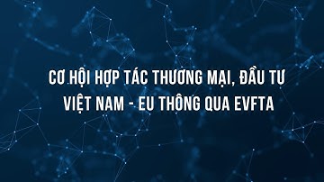 Cơ hội hợp tác thương mại, đầu tư Việt Nam - EU thông qua EVFTA