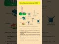 How Houses get 230V ? #kv