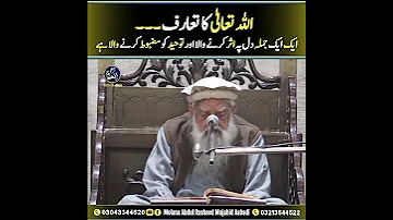 Maulana Abdul Rasheed Mujahid Abadi Sahib From Jamia Drasat Ul Islamia Subscribe 