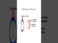 Объект Series библиотеки pandas #dataanlysis #education #pandas #datascience