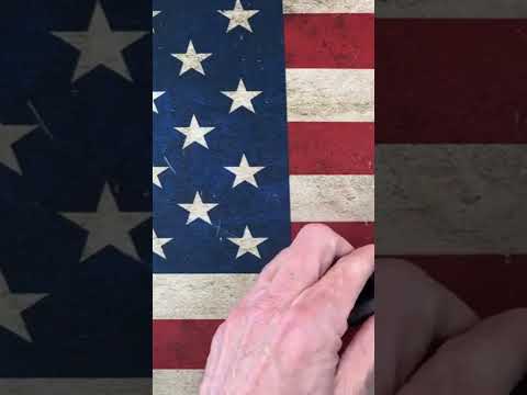K9 Knife: Looks, Performance & Design Debate