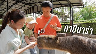 พาลูกชายไปเที่ยวสวนสัตว์ครับ ☀️ by BoomTharis 40,164 views 2 months ago 15 minutes