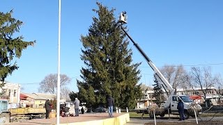 Что водрузят на главную ёлку звезду или трезубец?