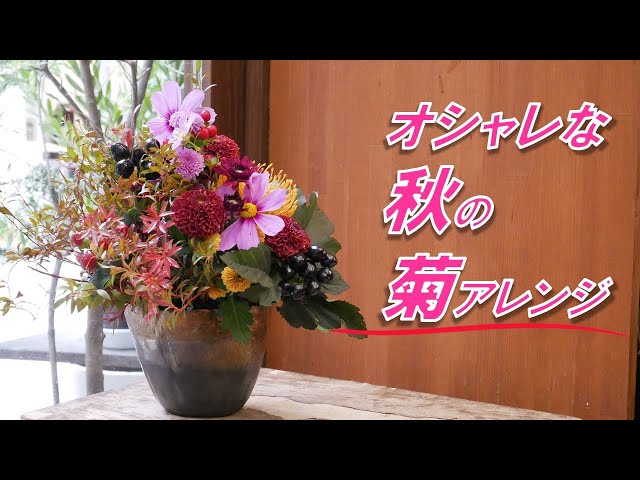 初心者向け】秋の菊。和モダンアレンジメント。菊のアレンジメントって