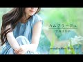 竹内まりや/カムフラージュ(COVER)【歌詞/ローマ字/英訳】