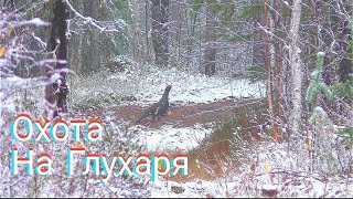 видео: БЕЗ ПОЛ ЛИТРА НЕ СМОТРЕТЬ! ОХОТА НА ГЛУХАРЯ С МЕЛКАШКОЙ / В ЛЕСУ ЗЛОВЕЩИЙ ТУМАН. ЧТО-ТО ПОШЛО НЕ ТАК картинка: БЕЗ ПОЛ ЛИТРА НЕ СМОТРЕТЬ! ОХОТА НА ГЛУХАРЯ С МЕЛКАШКОЙ / В ЛЕСУ ЗЛОВЕЩИЙ ТУМАН. ЧТО-ТО ПОШЛО НЕ ТАК