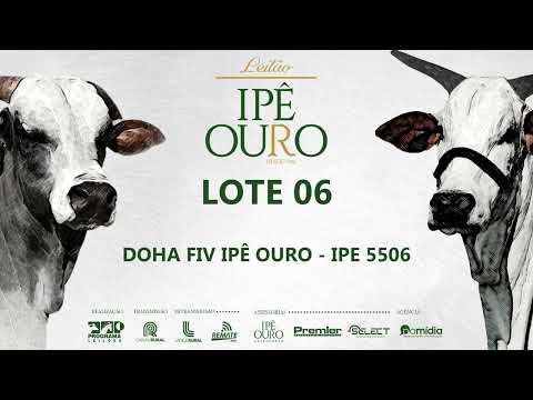 LOTE 06   IPE 5506