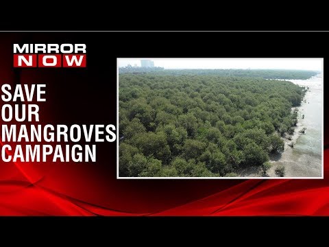 Mirror Now's 'Save our mangroves' campaign | No clearance granted for landfilling at Uran