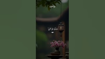 سورة الأحزاب بصوت القارئ ماهر المعيقلي 💙