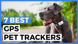 Best Gps Pet Trackers in 2024 - How to Choose a Tracker to Keep an Eye on your Pet? screenshot 2