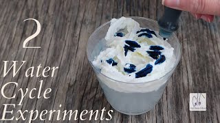 Water Cycle Experiments: Easy science experiments (The Water Cycle)