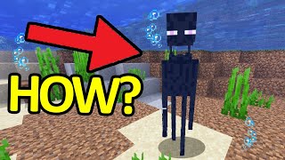 WTF Minecraft Moments that will BLOW Your MIND #10