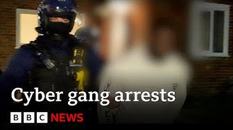 Police bust cyber gang accused of fraud worldwide BBC News