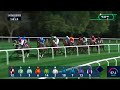 Race #4 – 20.02.26 – Touch The Future Handicap– Dividend