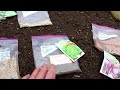 How to Start & Grow Your First Vegetable Garden E-3: Direct Sowing Fast Growing/ Cool Weather Greens