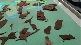 Leather samples display