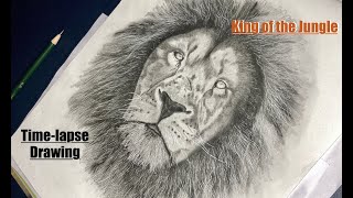 Realistic Pencil Drawing of Lion | King of the Jungle | Pencil Sketch | Time lapse #15