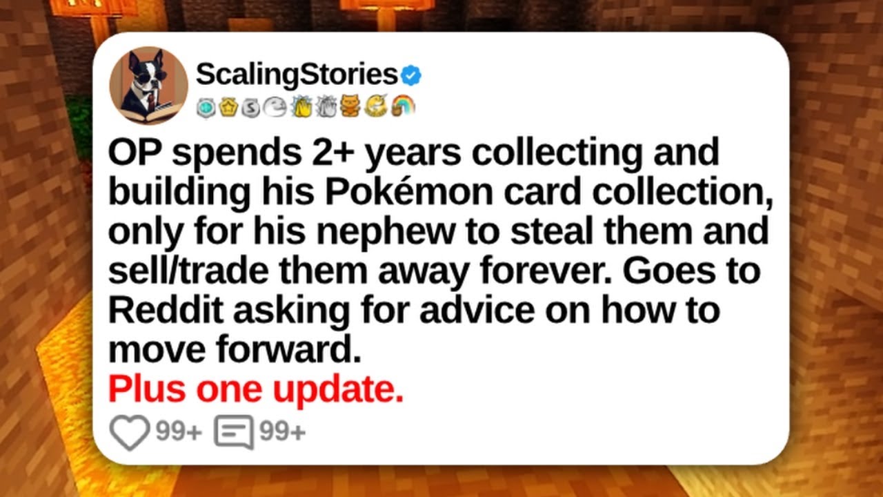 OP Spends 2+ Years Collecting and Building His Pokémon Card Collection | Reddit Updates