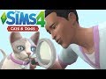 HOW TO VET - The Sims 4 Cats and Dogs | Veterinary Career Walkthrough