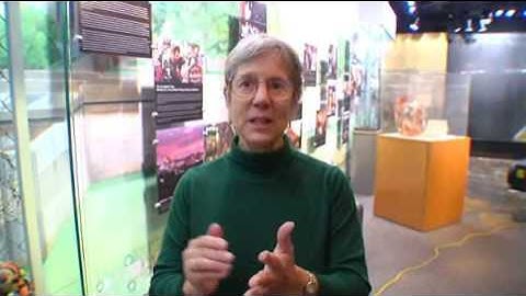 Mechanical Failure Causes Museum to Close