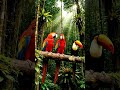 Ultimate Wildlife 🌿 | Dolby Vision 4K HDR #shorts