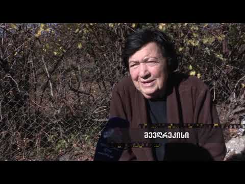 \"დია\"-ს მიკროფონთან -  სოფელი მეღვრეკისი 11.11.2019
