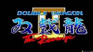 Double Dragon 2 gameplay (PC Game, 1989)