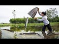 Harvesting fish harvesting eel  giant clamgo to market sell  farm life cooking  gardening