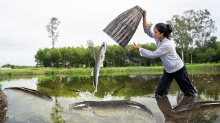 Harvesting FISH, Harvesting EEL & GIANT CLAM...Go To Market Sell | Farm Life: Cooking & Gardening